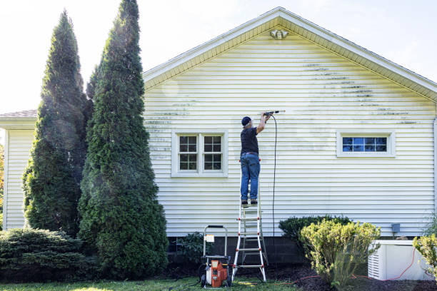Trusted Nashville, IL Pressure Washing Services Experts